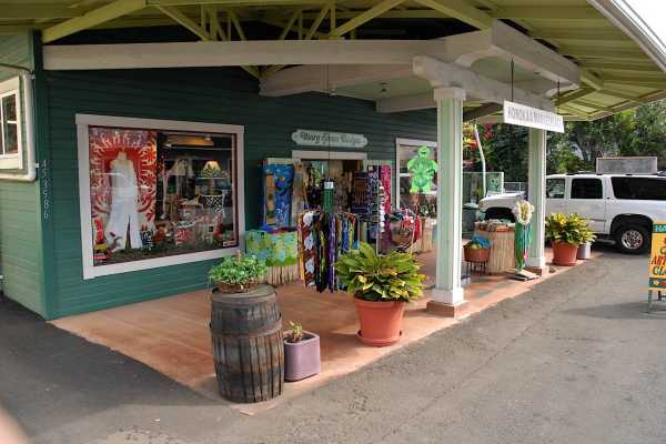 453586 MAMANE ST,HONOKAA,HI,96727,USA