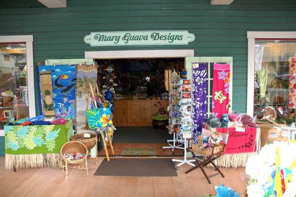 453586 MAMANE ST,HONOKAA,HI,96727,USA