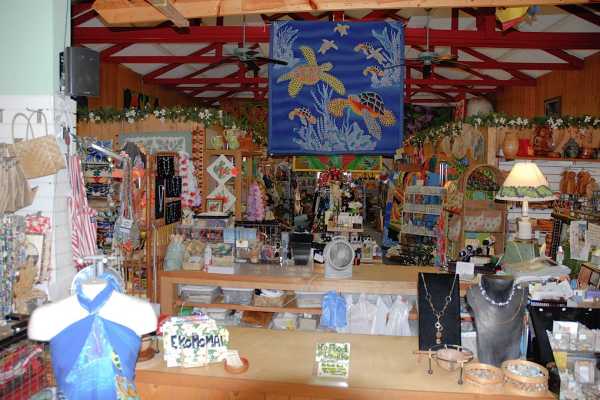 453586 MAMANE ST,HONOKAA,HI,96727,USA