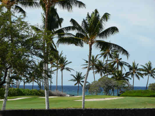 MLS 250938 | 68-1004 PAUOA WY, Pauoa Beach Subdivision - South Kohala, Hawaii