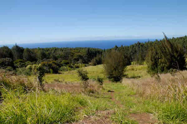 000000, PAAUILO, HI, 96776, USA