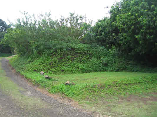 543854 AKONI PULE HWY, KAPAAU, HI, 96755, USA