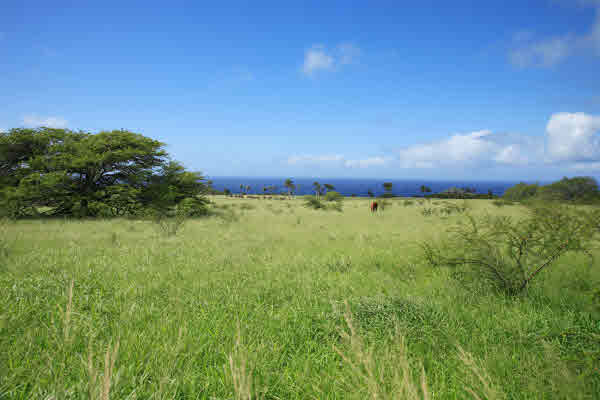 MLS# 228439 Puakea Bay Ranch Puakea Bay Ranch Subdivision 