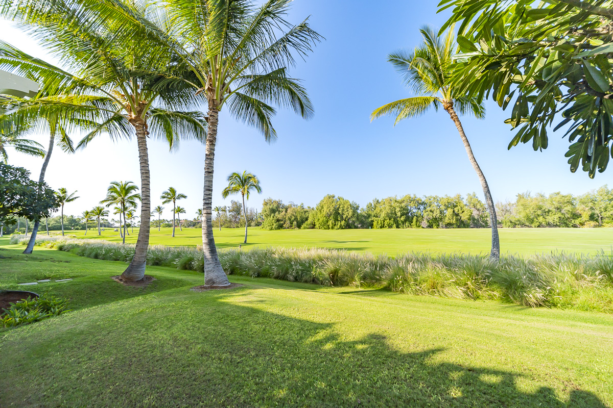 Big Island Listing Image