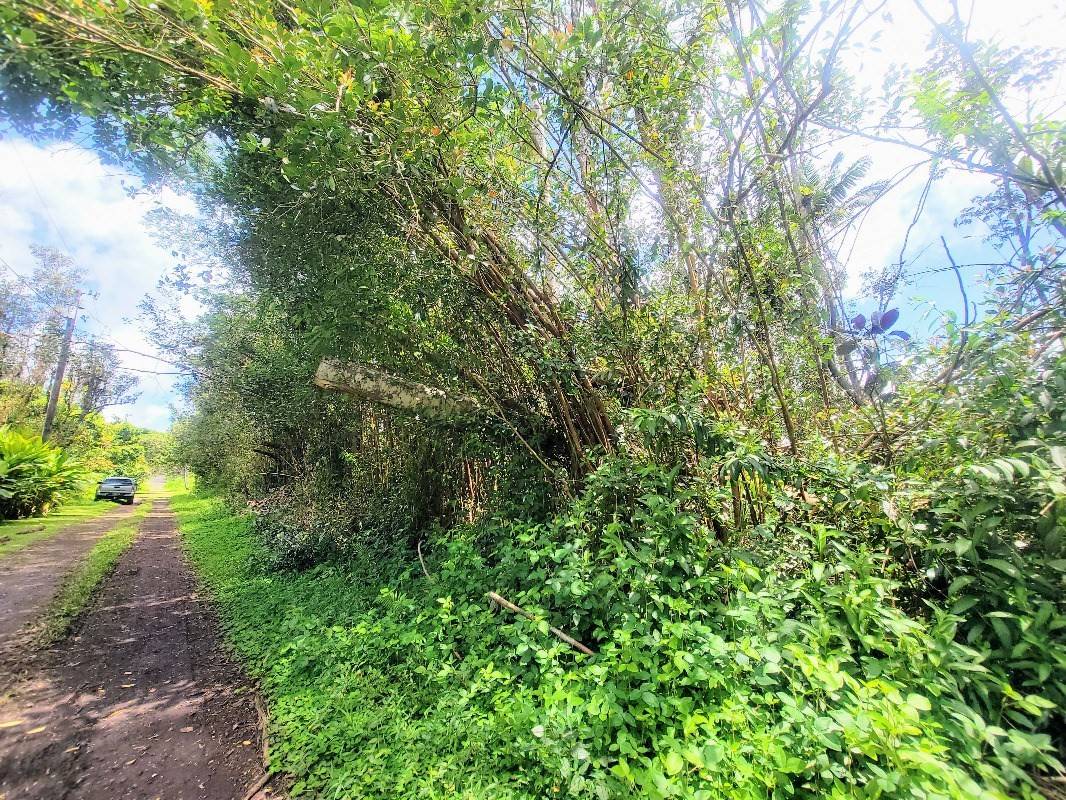 Big Island Listing Image