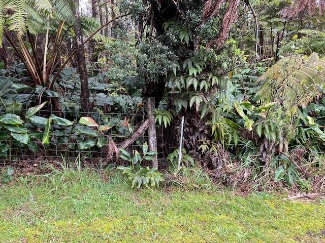 6TH ST VOLCANO HI 96785