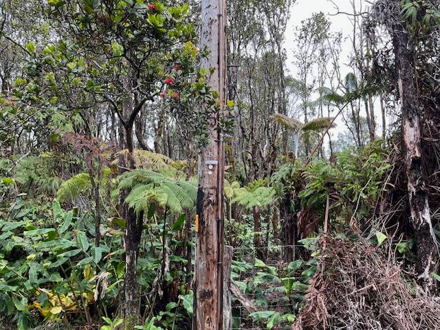 6TH ST VOLCANO HI 96785