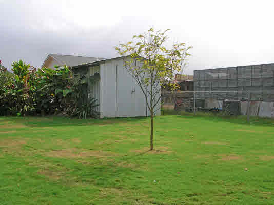 2000 NAHEMA ST, LIHUE, HI, 96766, USA