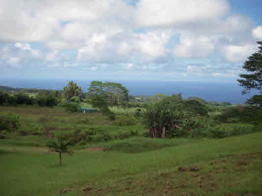 280745A AKAKA FALLS RD, HONOMU, HI, 96728, USA