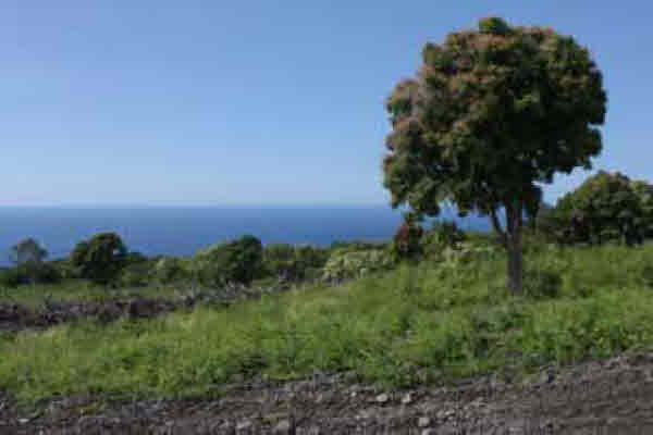 MLS No. 229342 - South Kona Vacant Land For Sale