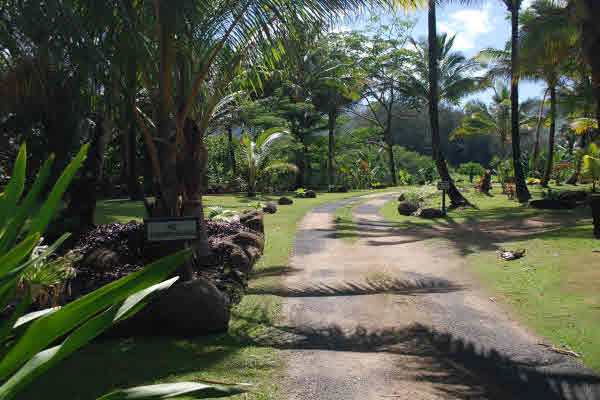 5560 WEKE RD, HANALEI, HI, 96714, USA