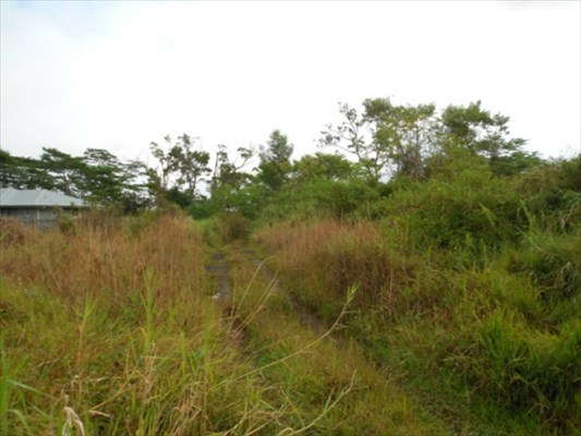, Hilo, HI 96720