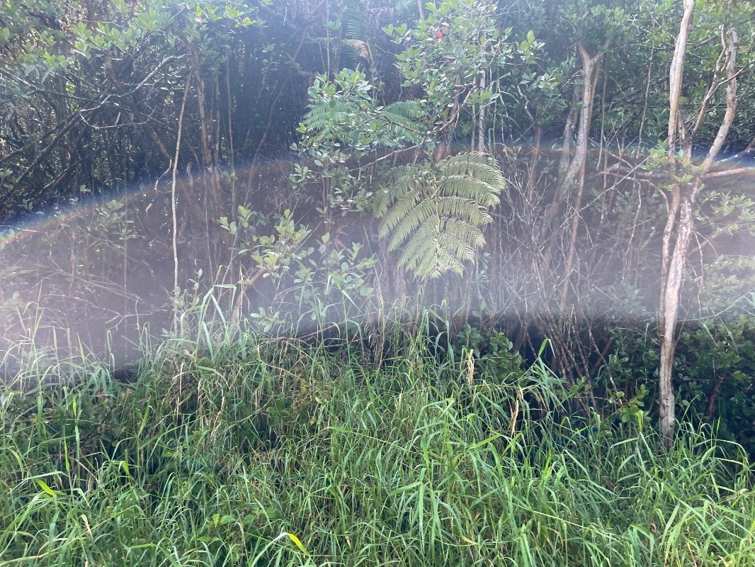 Big Island Listing Image