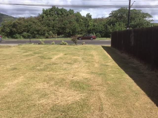 KUHIO HWY KAPAA HI 96746