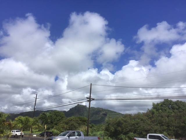 KUHIO HWY KAPAA HI 96746