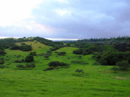 937104 KAMAOA RD, NAALEHU, HI, 96772, USA