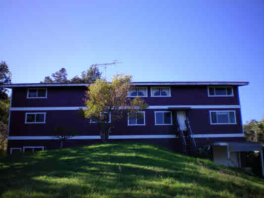 hamakua real estate