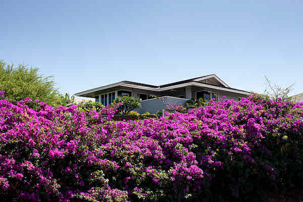 Waikoloa homes