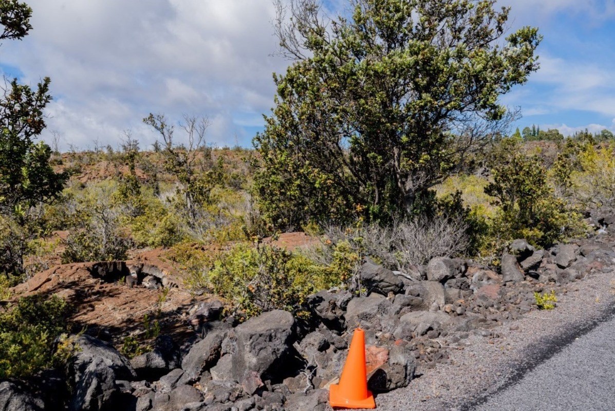 Big Island Listing Image