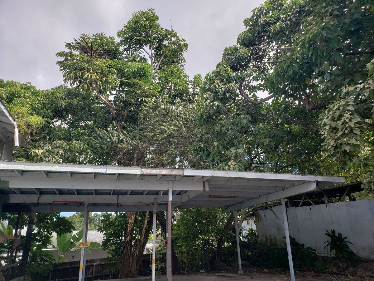 Big Island Listing Image