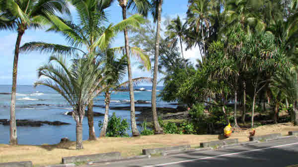 2296 KALANIANAOLE ST, HILO, HI, 96720, USA