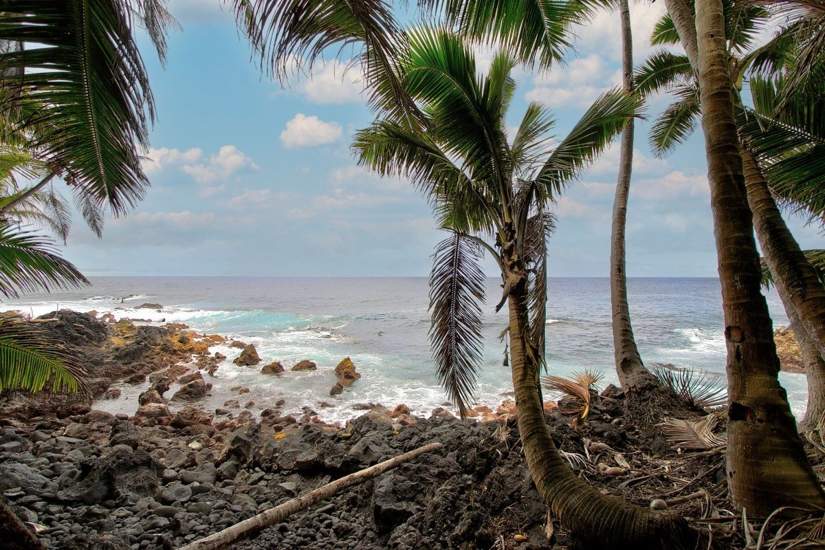 Big Island Listing Image