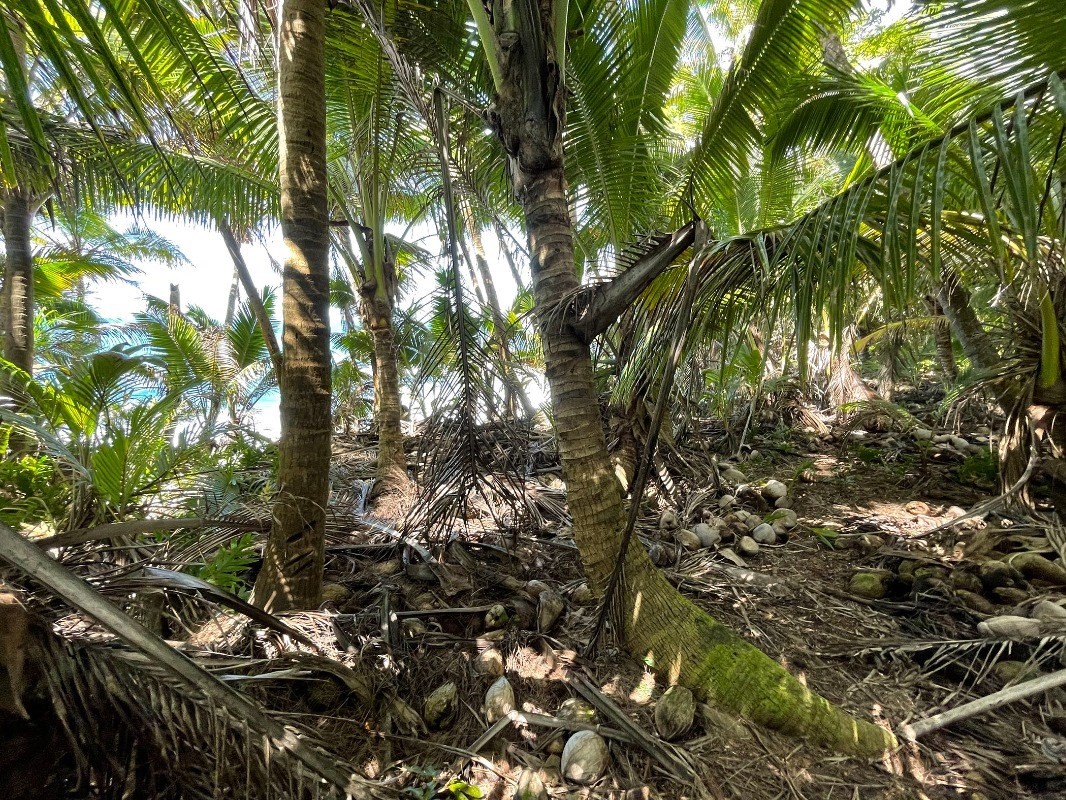 Big Island Listing Image