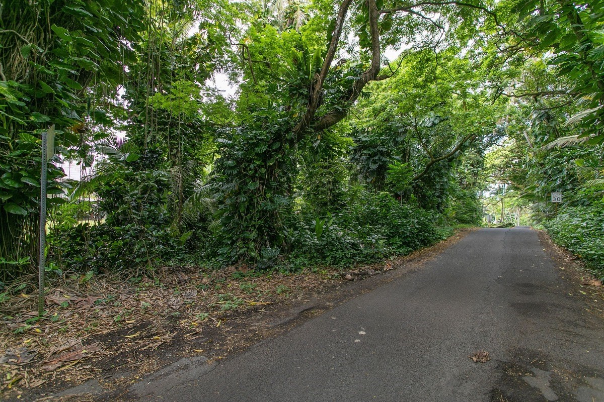 Big Island Listing Image