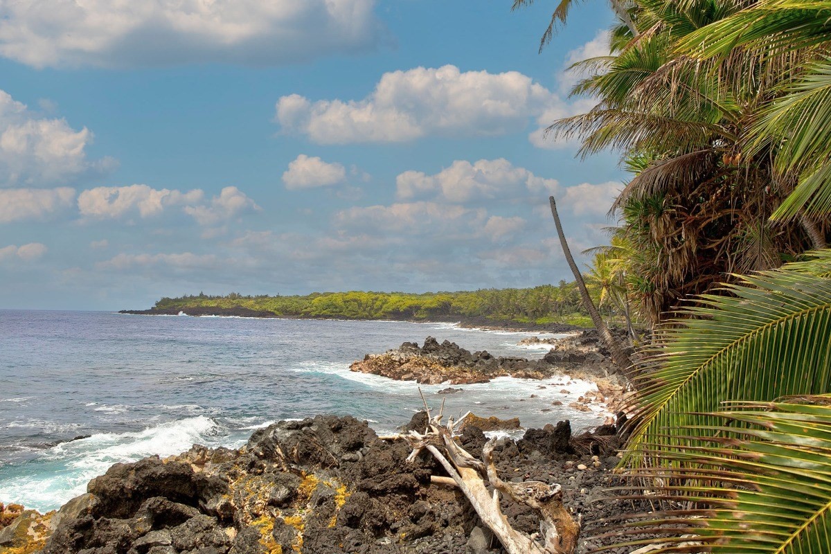 Big Island Listing Image