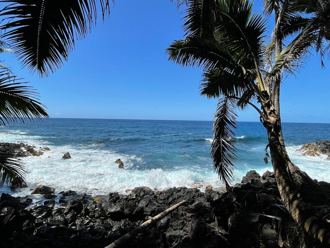 Big Island Listing Image