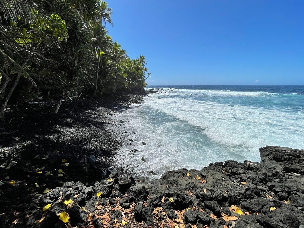 Big Island Listing Image