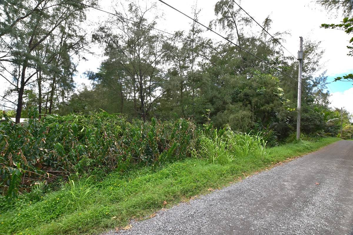 15-1060 ALA HEIAU RD KEAAU HI 96749