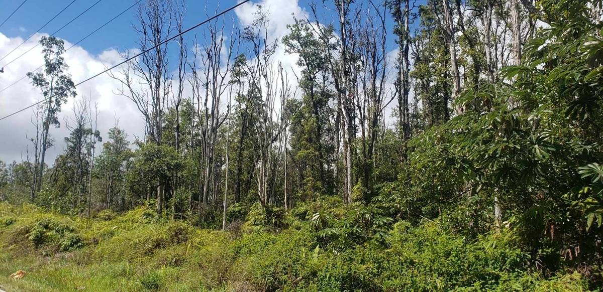 ROAD 9 (KOLOA MAOLI) MOUNTAIN VIEW HI 96760