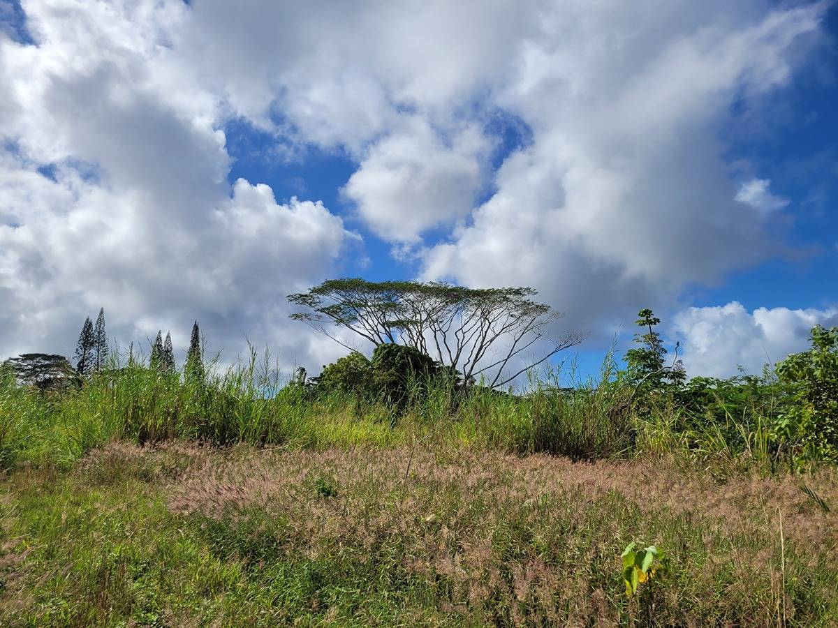 PAHOA KAPOHO RD PAHOA HI 96778