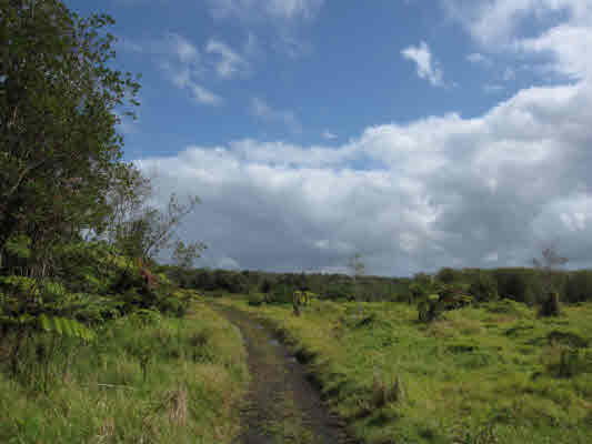 140 Acre Parcel in Glenwood, Puna, Big Island of Hawaii