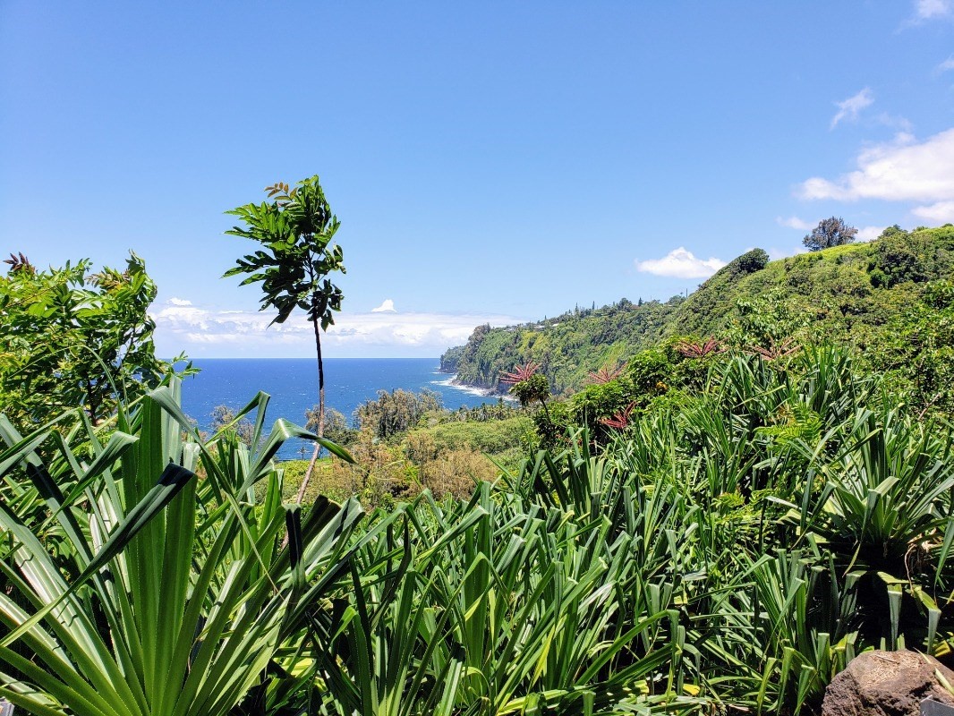 Big Island Listing Image