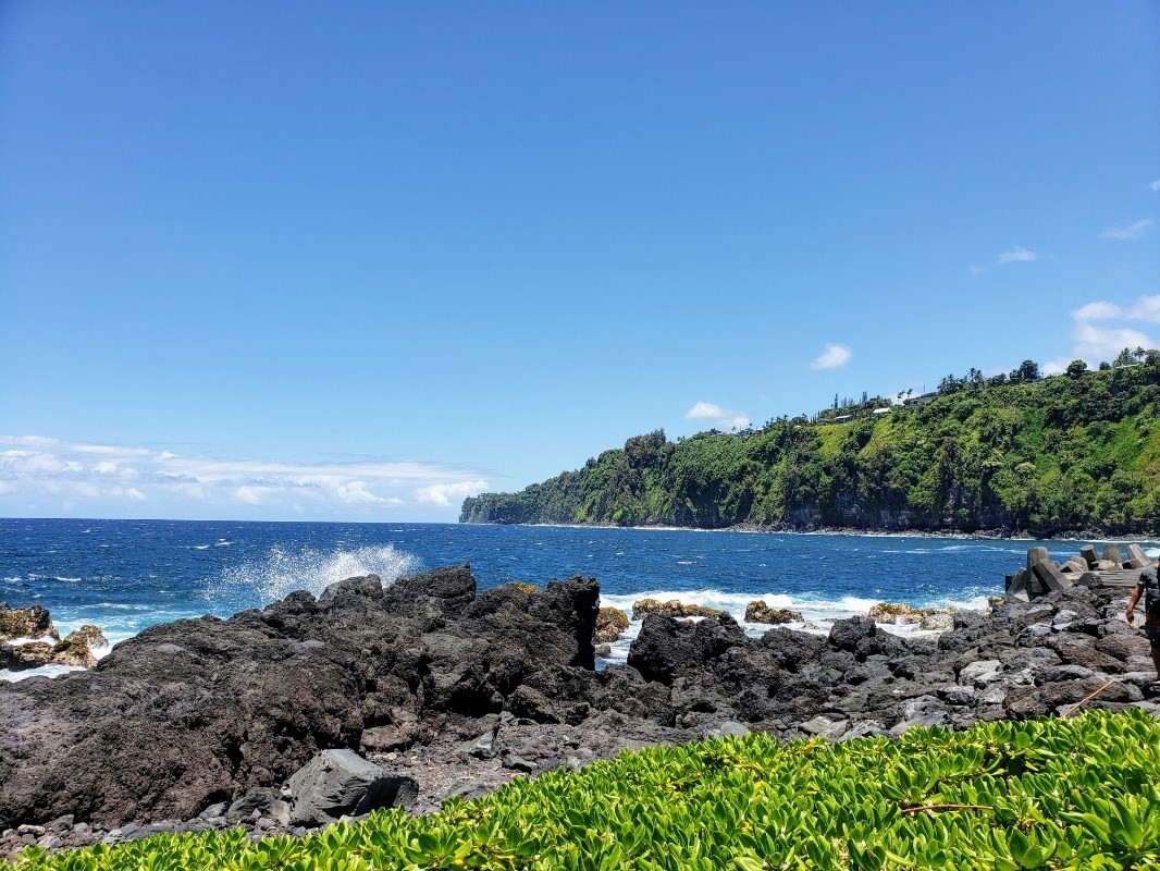 Big Island Listing Image