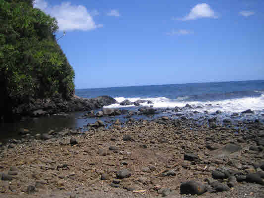 Oceanfront Property on the Onomea Scenic Drive. Oceanfront Property on the Onomea Scenic Route