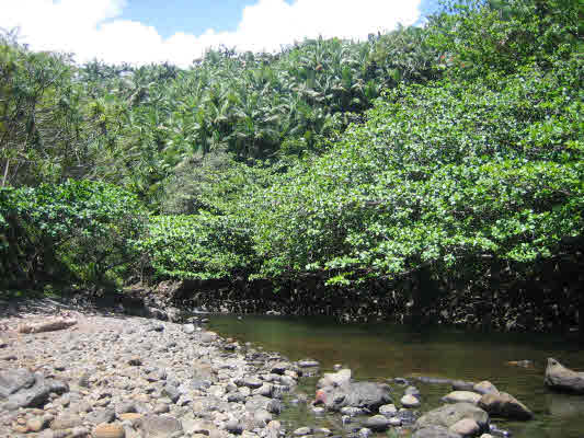 0000 000000, PAPAIKOU, HI, 96781, USA