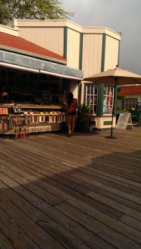 Big Island Listing Image