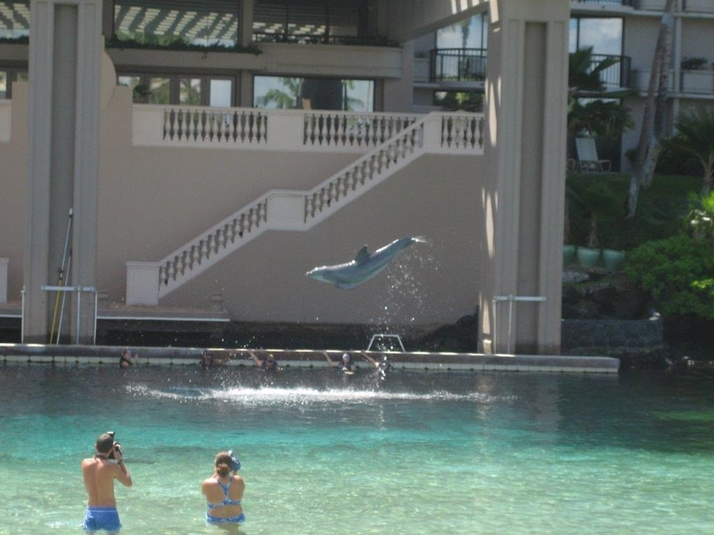 Big Island Listing Image