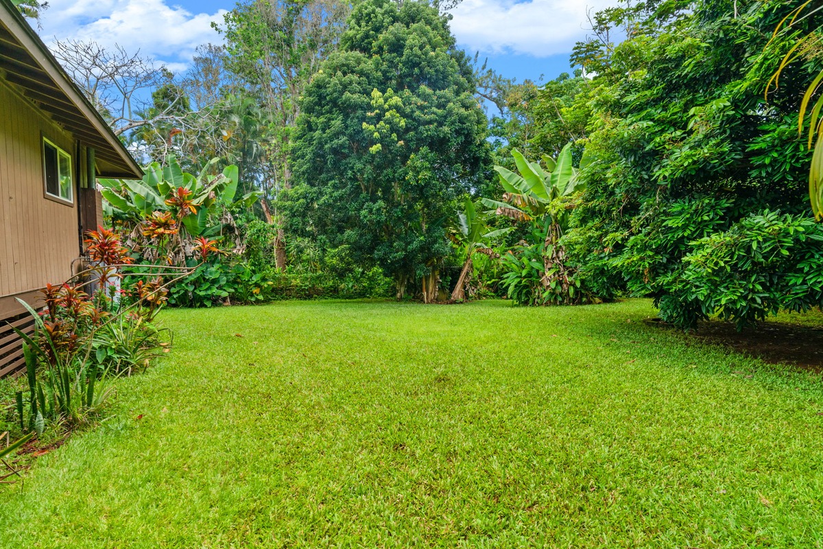 Kauai Listing Image