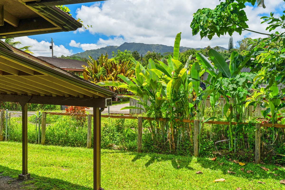 Kauai Listing Image