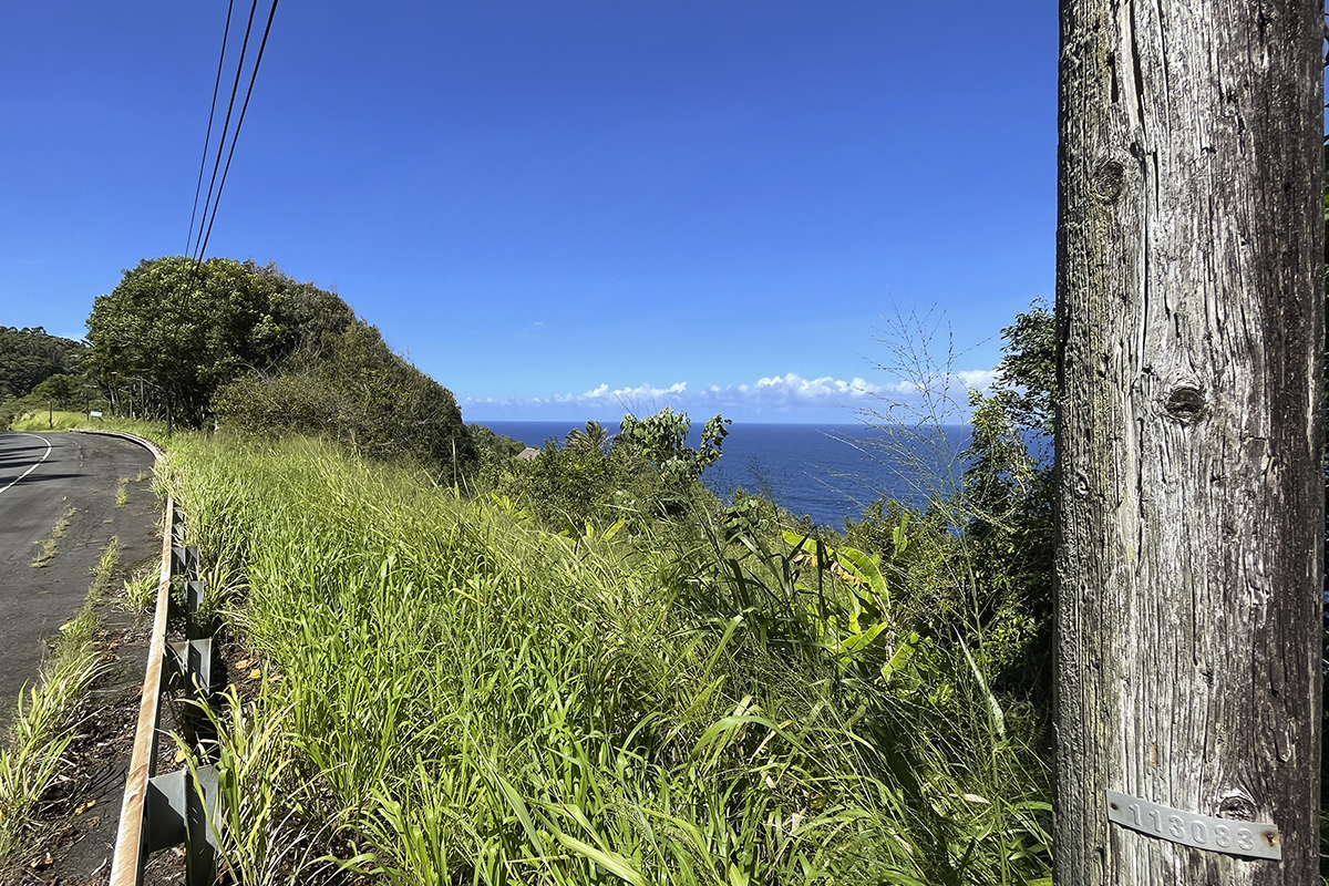 35-1714 HAWAII BELT RD LAUPAHOEHOE HI 96764