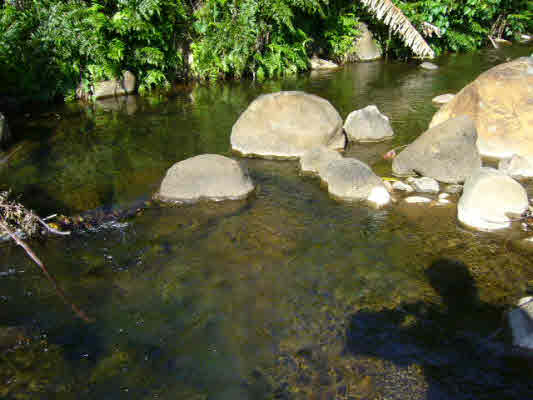 283320 HAWAII BELT,HONOMU,HI,96728,USA