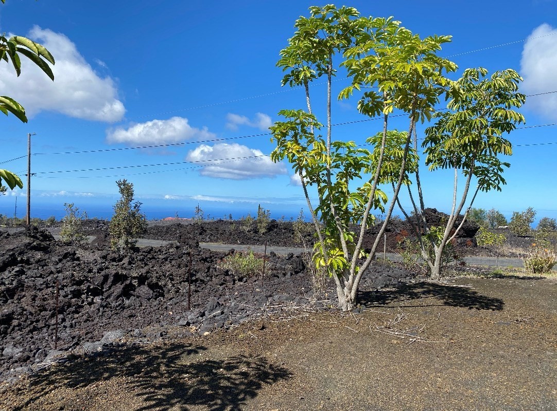 Big Island Listing Image