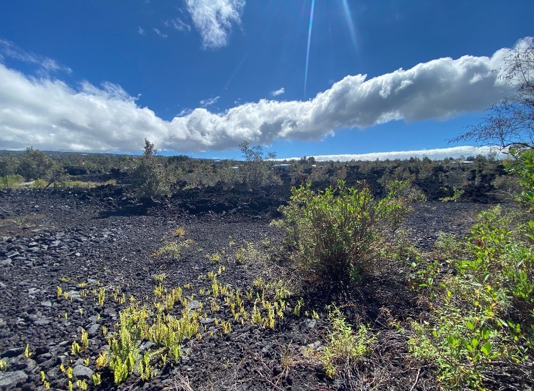 Big Island Listing Image