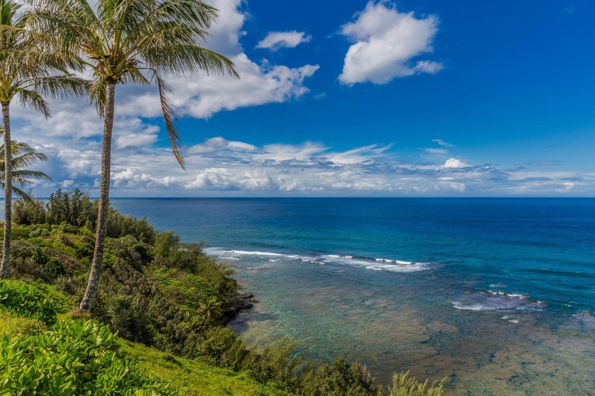 Kauai Listing Image