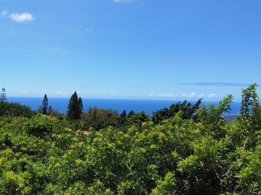 KUAMOO RD NAALEHU HI 96772