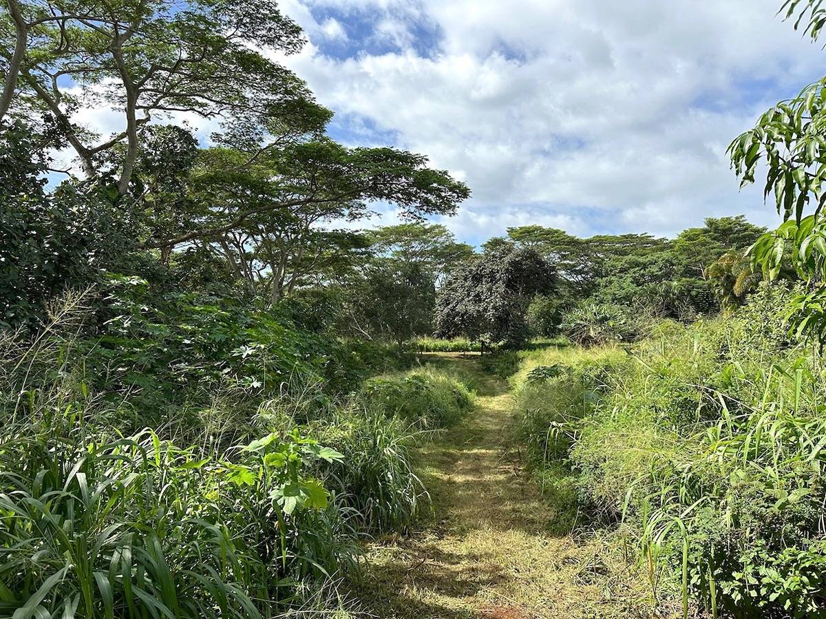 OMAO RD KOLOA HI 96756